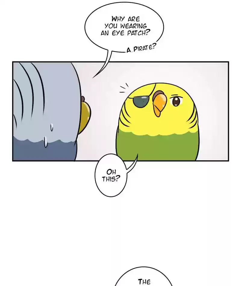 A Budgie's Life Chapter 257: Ep.256: