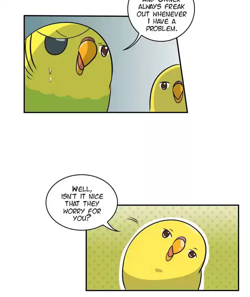 A Budgie's Life Chapter 257: Ep.256: