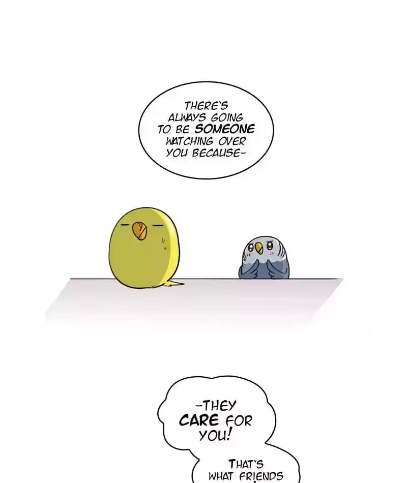 A Budgie's Life Chapter 257: Ep.256: