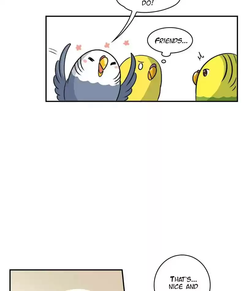 A Budgie's Life Chapter 257: Ep.256: