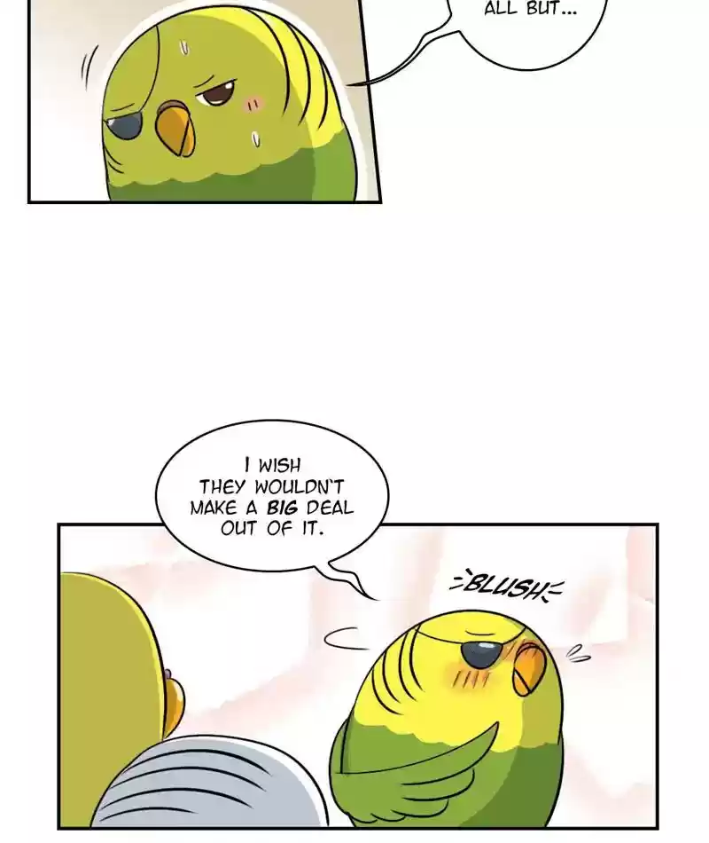 A Budgie's Life Chapter 257: Ep.256:
