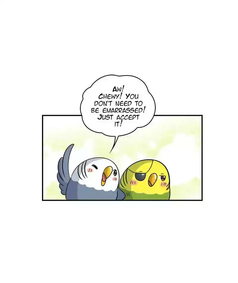 A Budgie's Life Chapter 257: Ep.256: