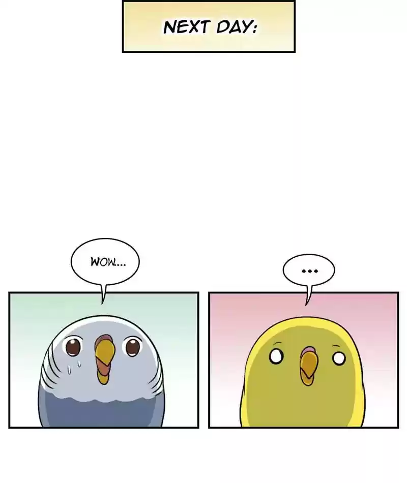 A Budgie's Life Chapter 257: Ep.256: