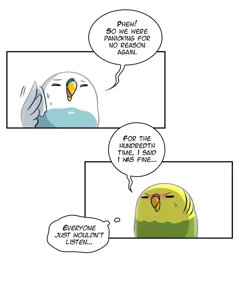 A Budgie's Life Chapter 257: Ep.256: