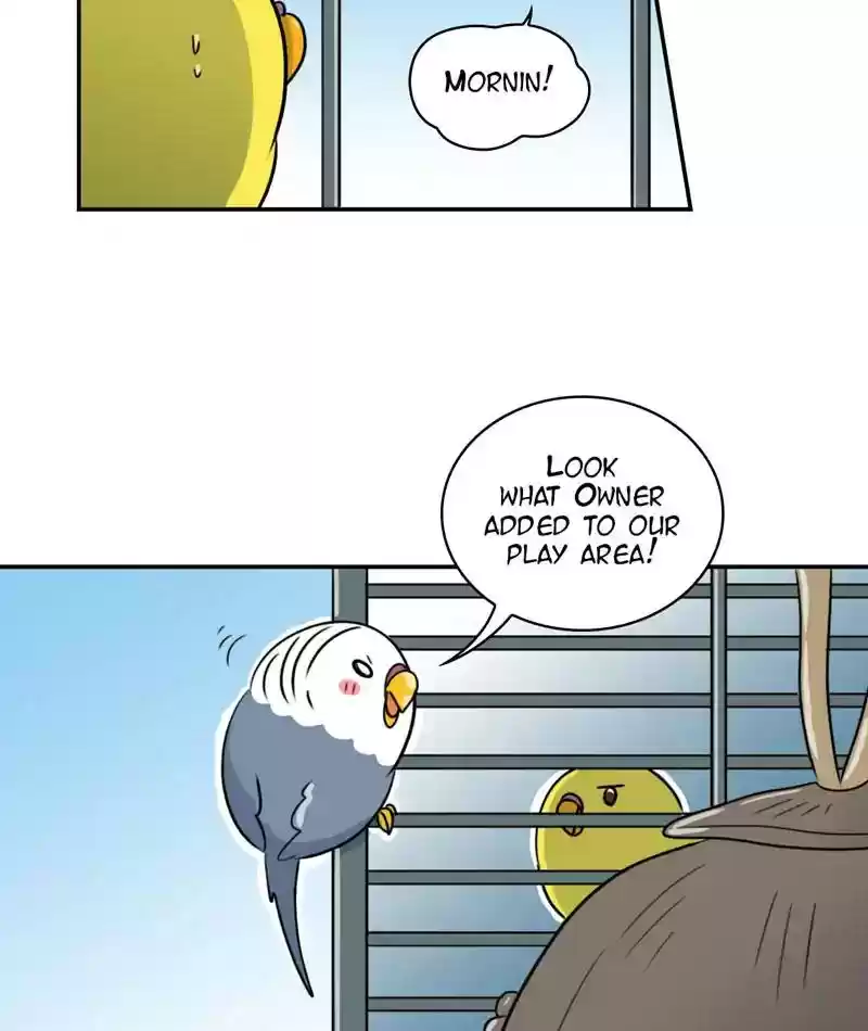 A Budgie's Life Chapter 258: Ep.257: