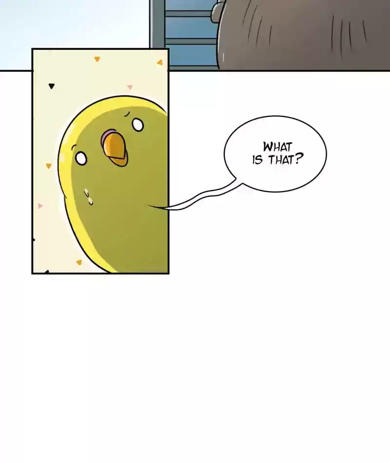 A Budgie's Life Chapter 258: Ep.257: