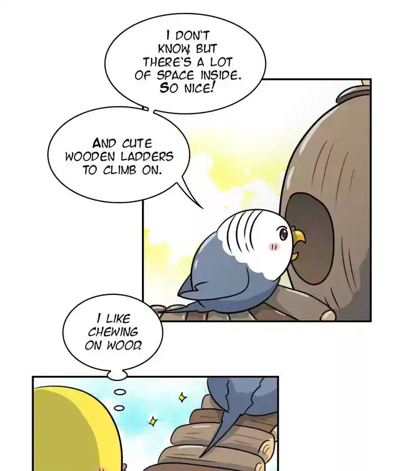 A Budgie's Life Chapter 258: Ep.257: