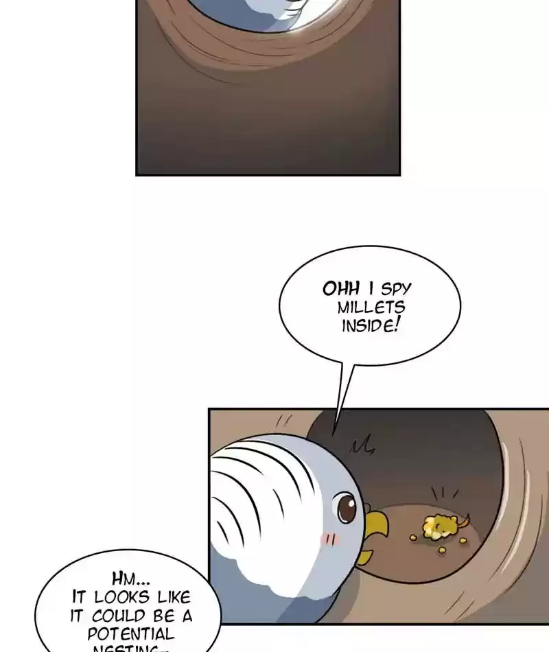 A Budgie's Life Chapter 258: Ep.257: