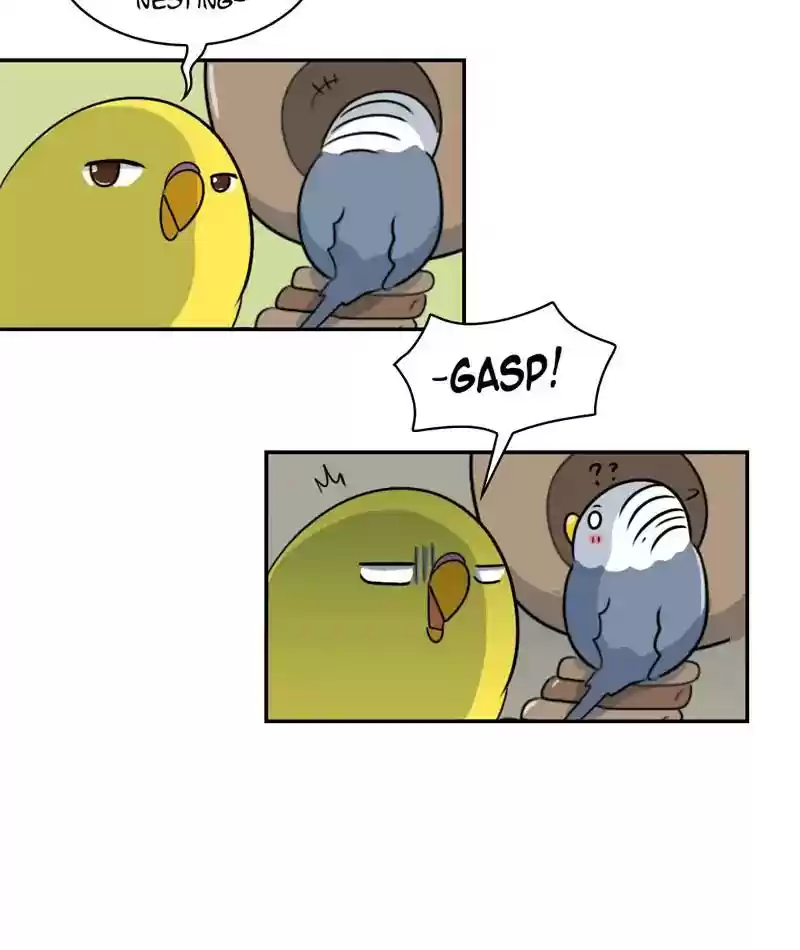 A Budgie's Life Chapter 258: Ep.257: