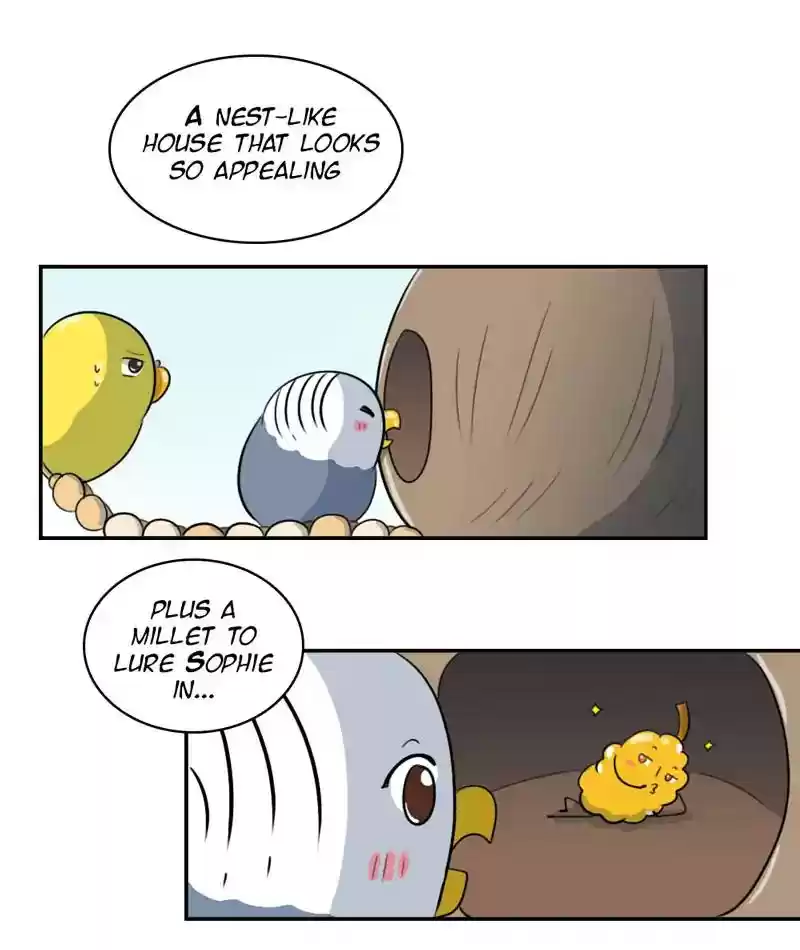 A Budgie's Life Chapter 258: Ep.257: