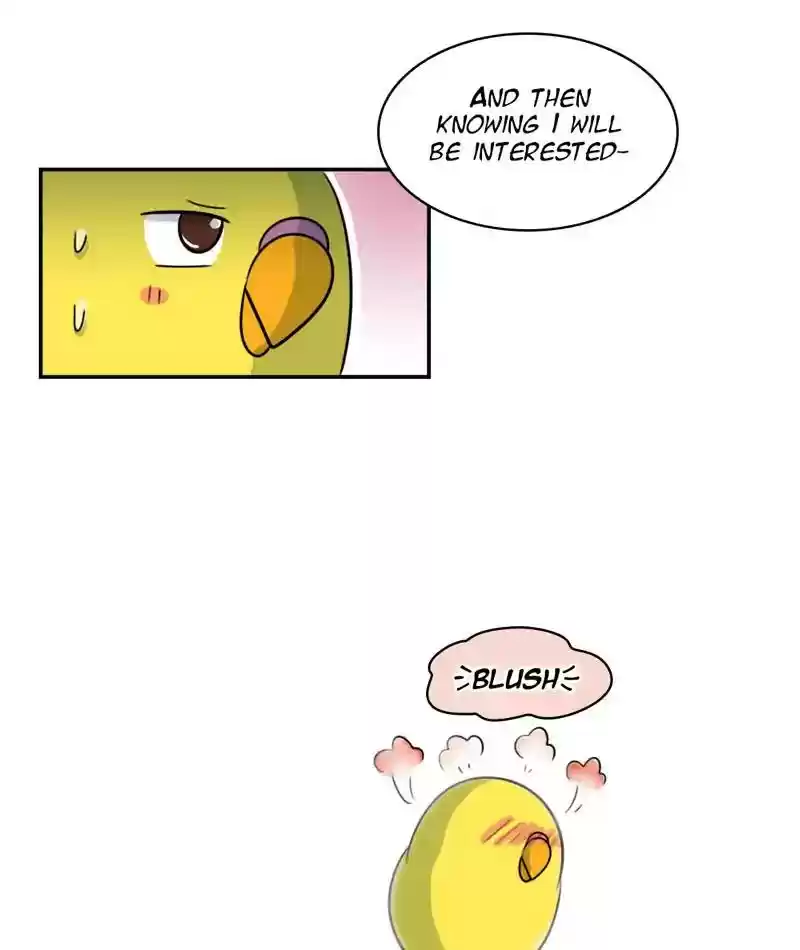 A Budgie's Life Chapter 258: Ep.257: