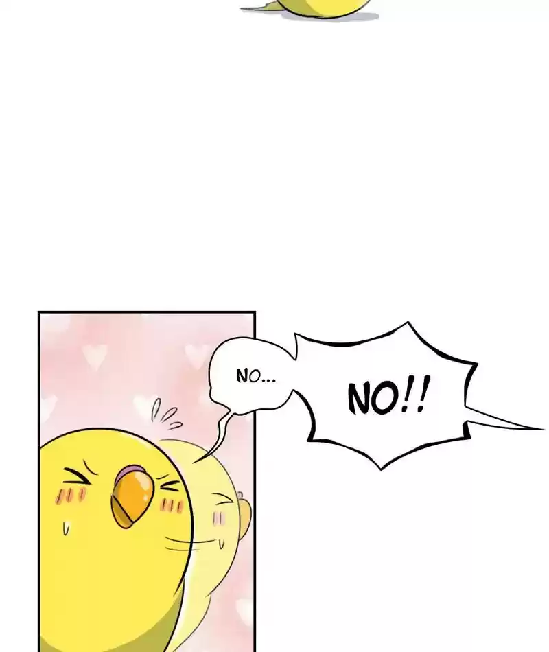 A Budgie's Life Chapter 258: Ep.257: