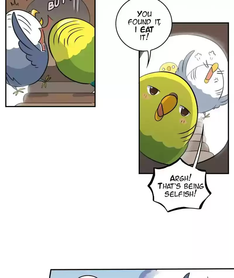 A Budgie's Life Chapter 258: Ep.257: