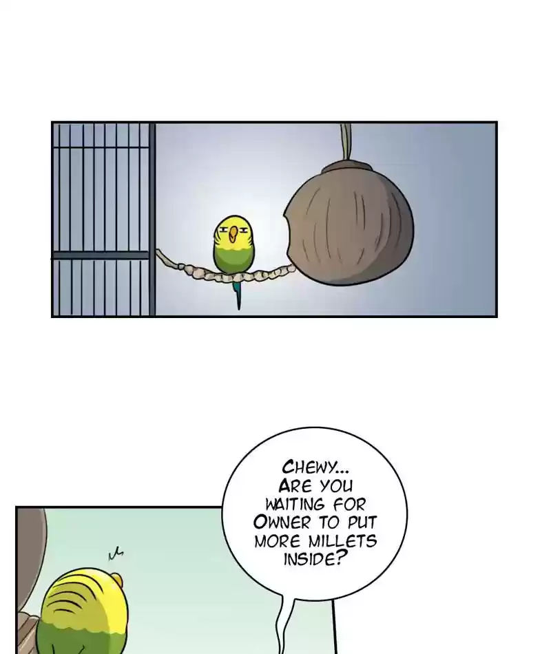 A Budgie's Life Chapter 258: Ep.257: