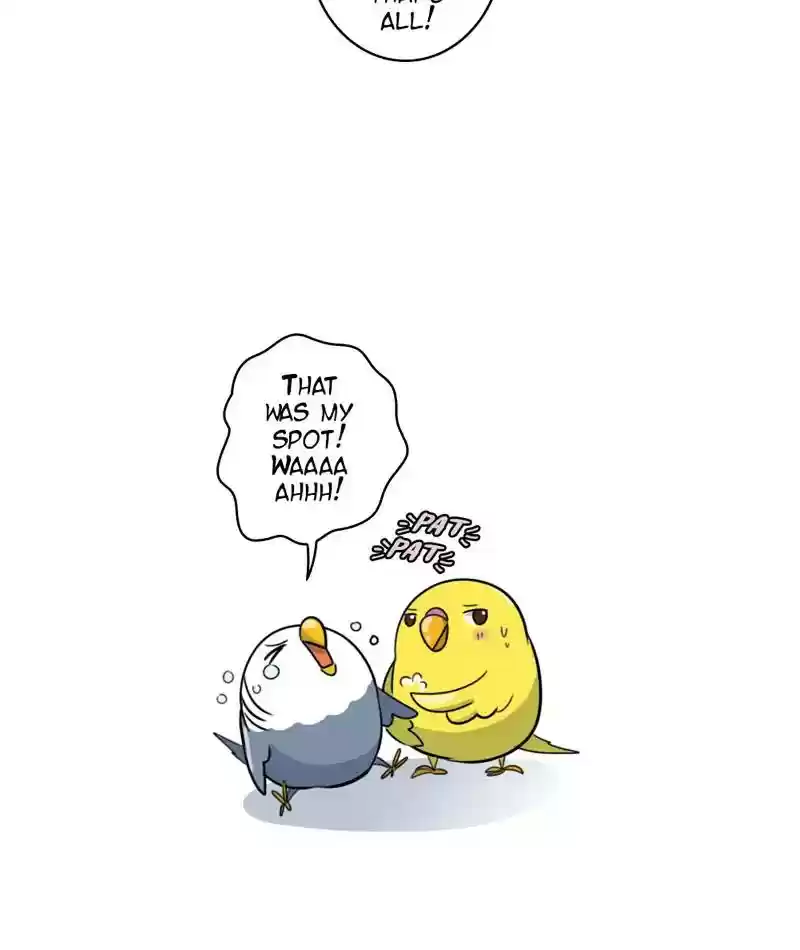 A Budgie's Life Chapter 258: Ep.257: