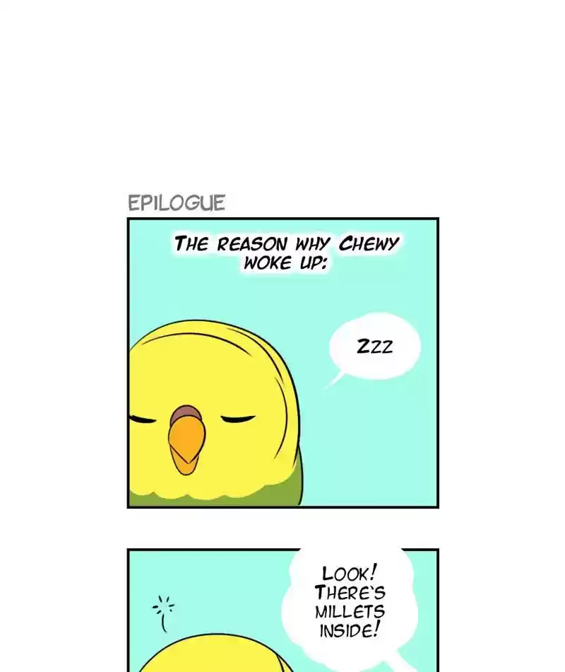 A Budgie's Life Chapter 258: Ep.257: