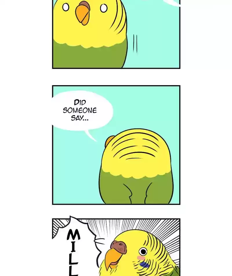 A Budgie's Life Chapter 258: Ep.257: