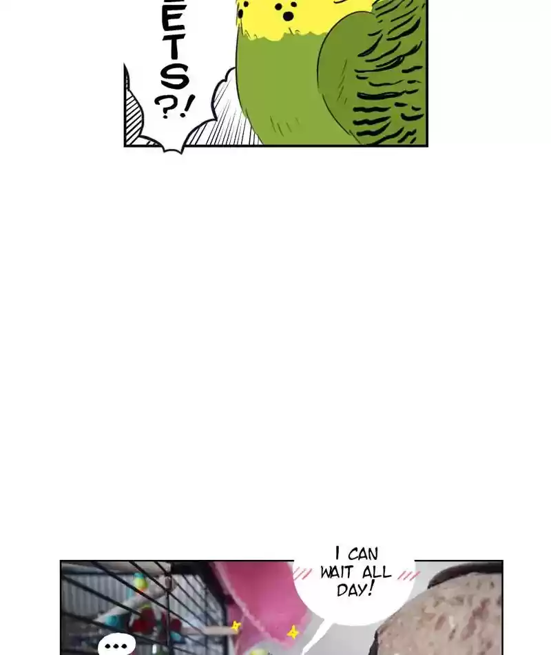 A Budgie's Life Chapter 258: Ep.257: