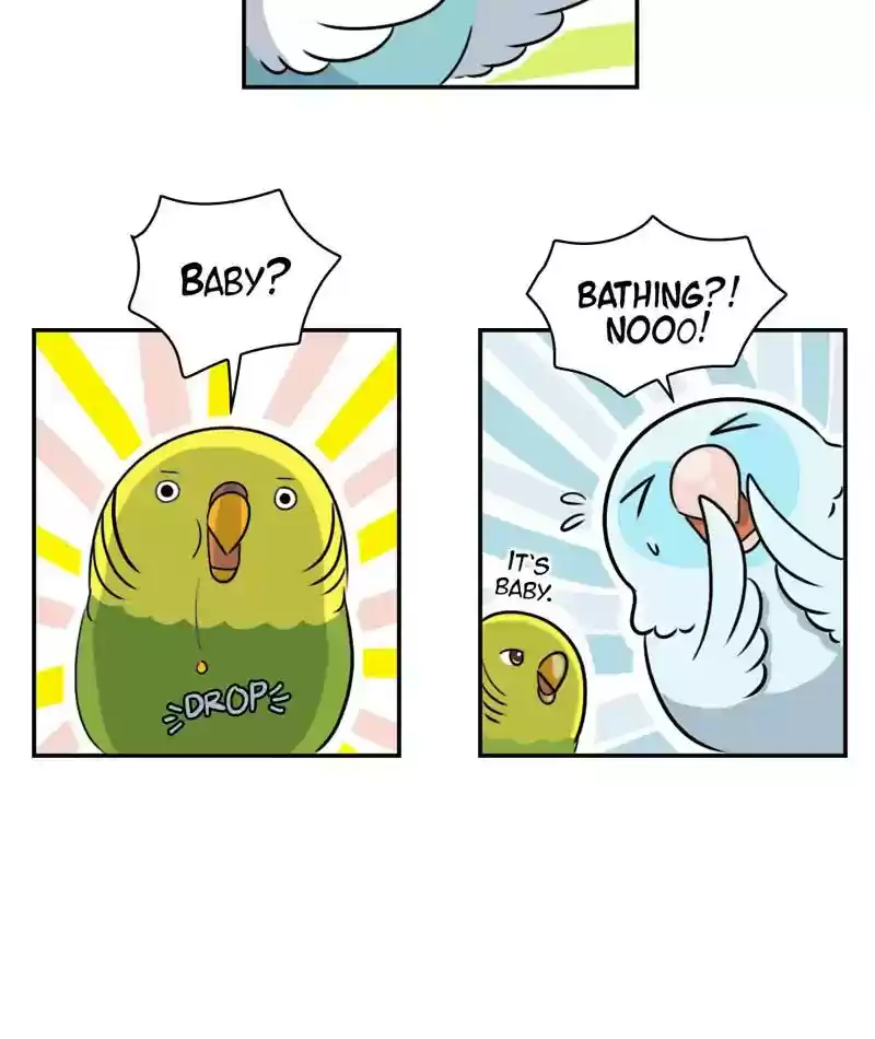 A Budgie's Life Chapter 259: Ep.258: