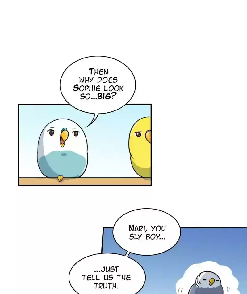 A Budgie's Life Chapter 259: Ep.258: