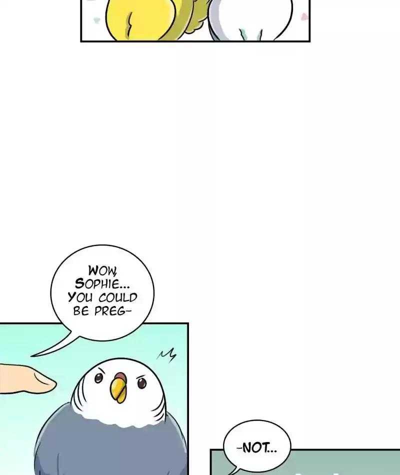 A Budgie's Life Chapter 259: Ep.258: