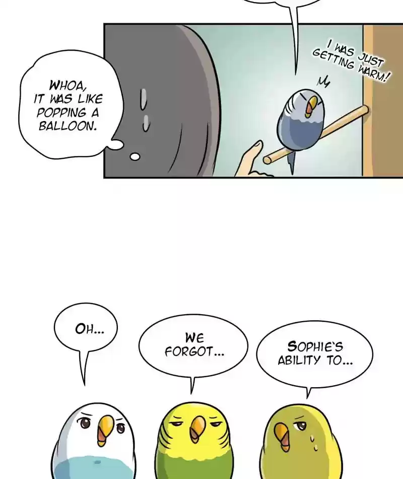 A Budgie's Life Chapter 259: Ep.258: