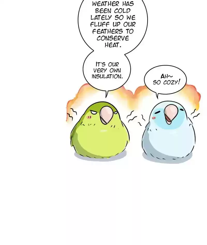 A Budgie's Life Chapter 259: Ep.258: