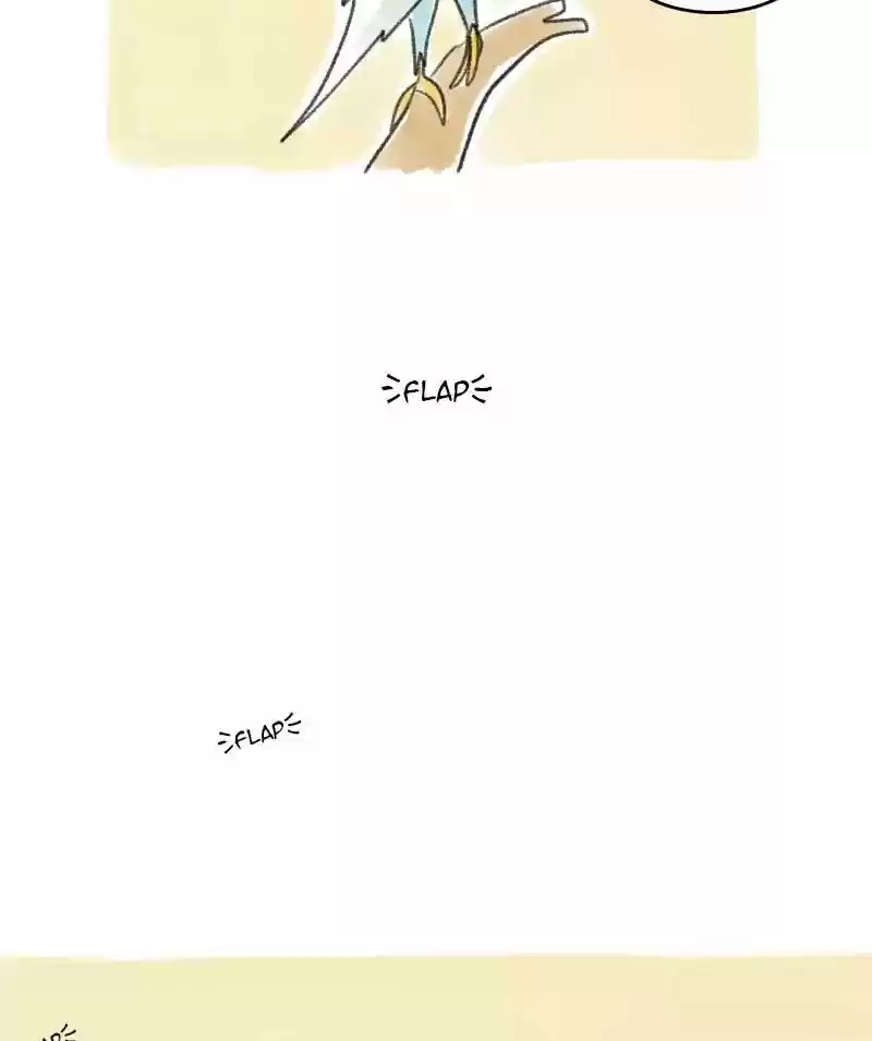 A Budgie's Life Chapter 26: Ep.26: