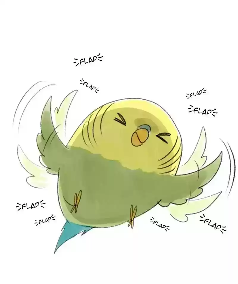 A Budgie's Life Chapter 26: Ep.26: