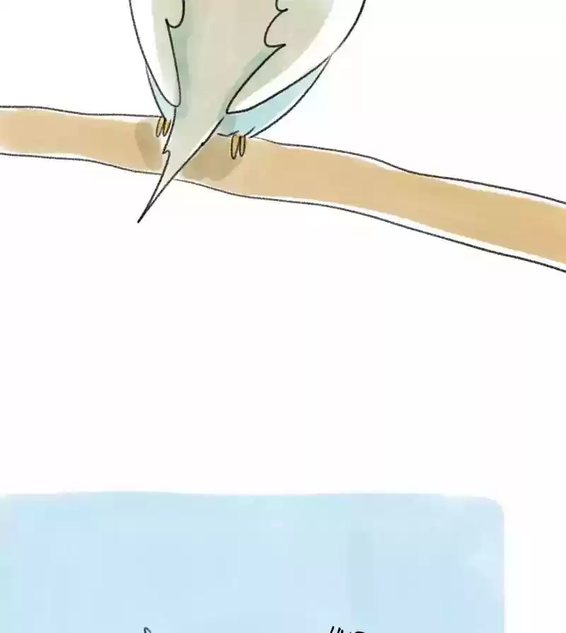 A Budgie's Life Chapter 26: Ep.26: