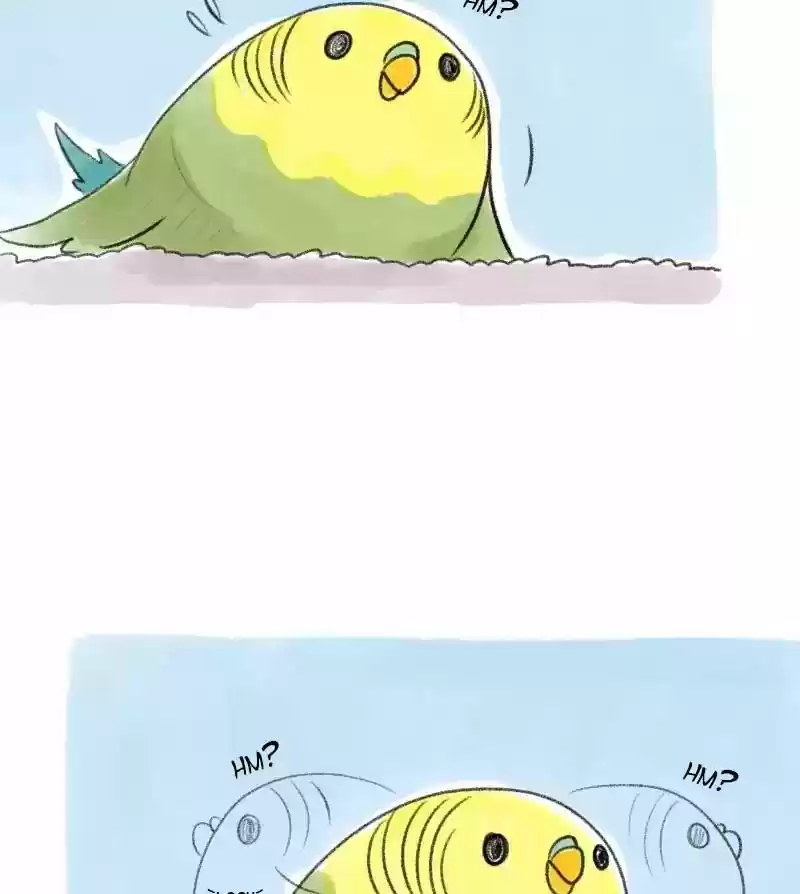 A Budgie's Life Chapter 26: Ep.26: