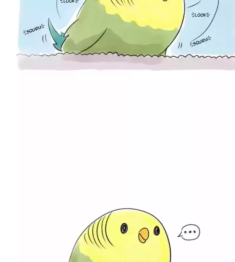 A Budgie's Life Chapter 26: Ep.26: