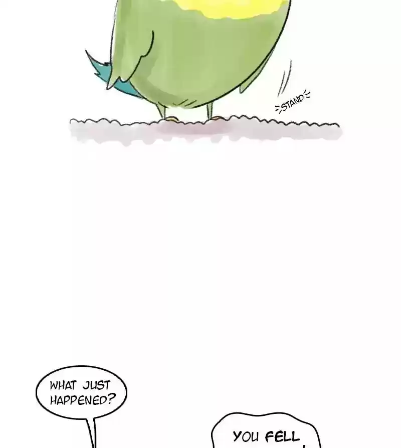 A Budgie's Life Chapter 26: Ep.26: