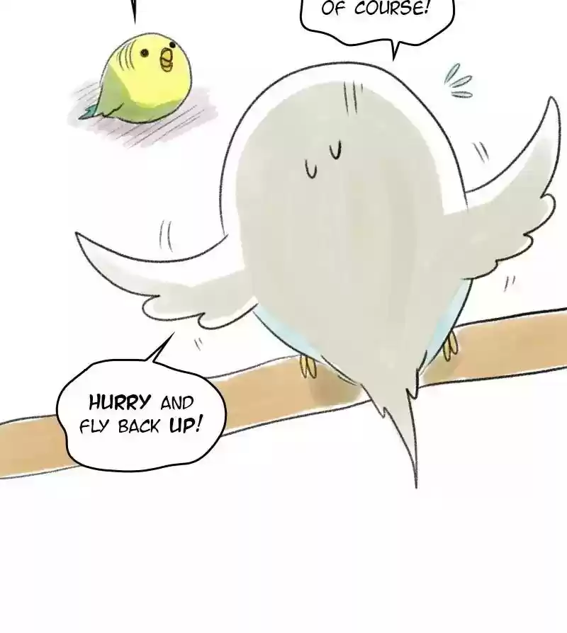 A Budgie's Life Chapter 26: Ep.26: