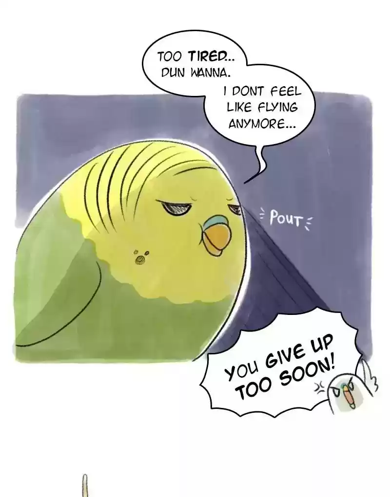 A Budgie's Life Chapter 26: Ep.26: