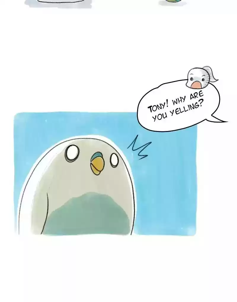 A Budgie's Life Chapter 26: Ep.26: