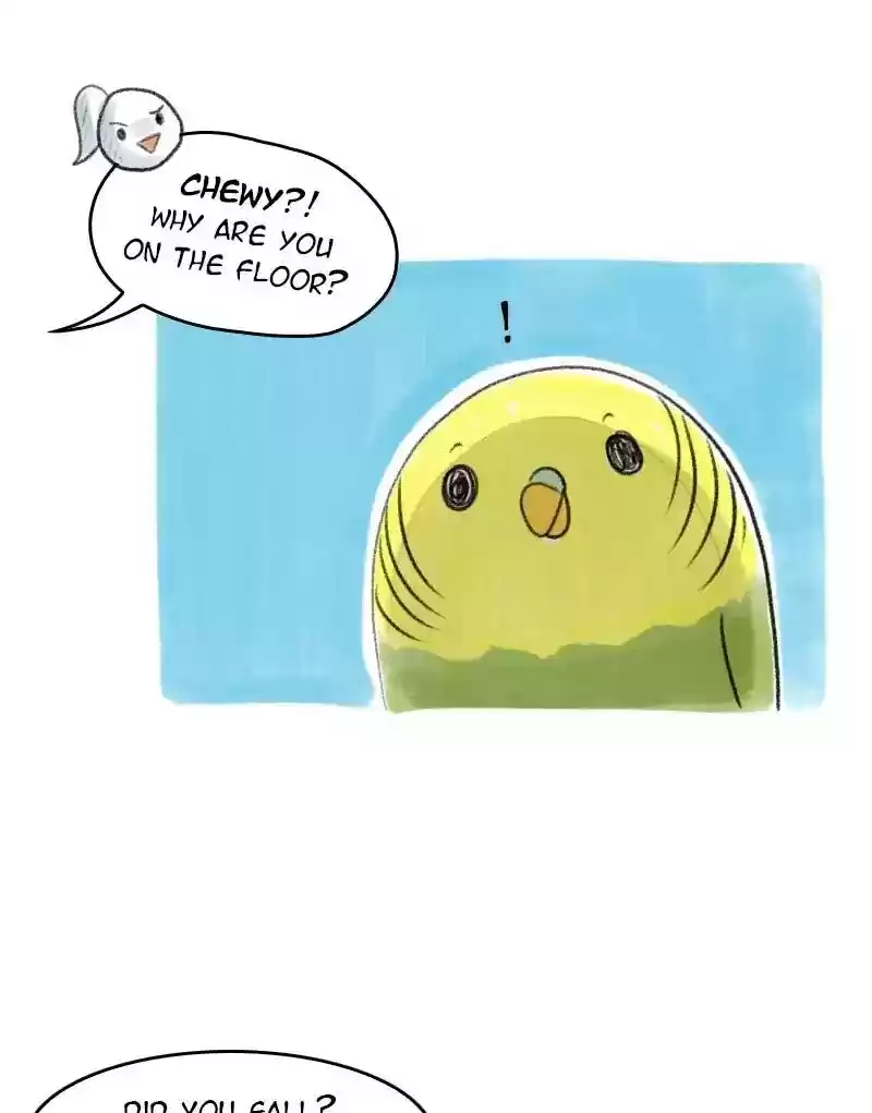 A Budgie's Life Chapter 26: Ep.26: