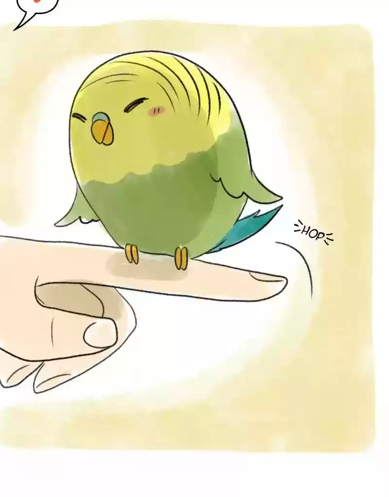 A Budgie's Life Chapter 26: Ep.26: