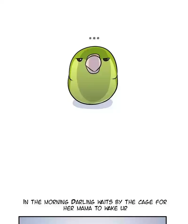 A Budgie's Life Chapter 260: Ep.259: