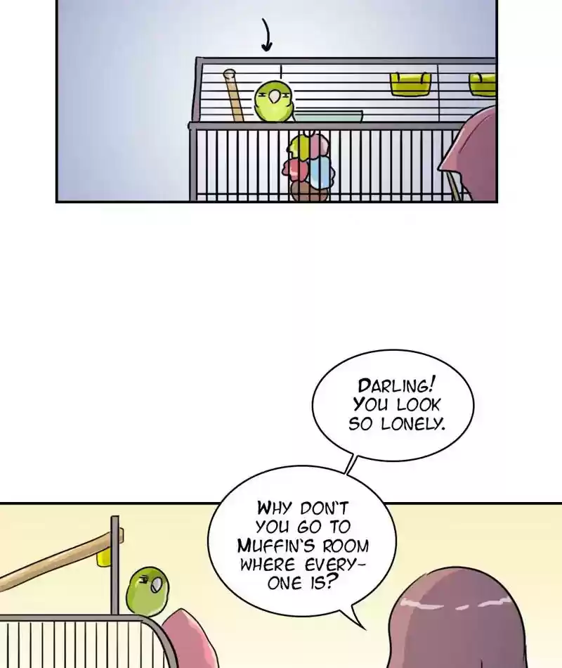 A Budgie's Life Chapter 260: Ep.259: