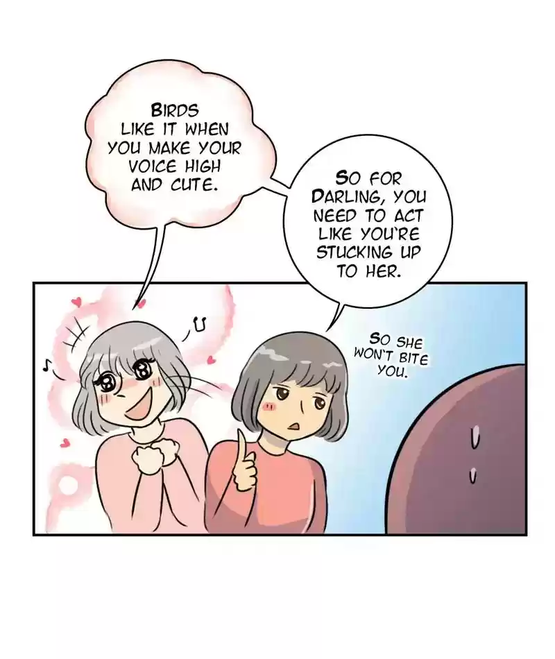 A Budgie's Life Chapter 260: Ep.259: