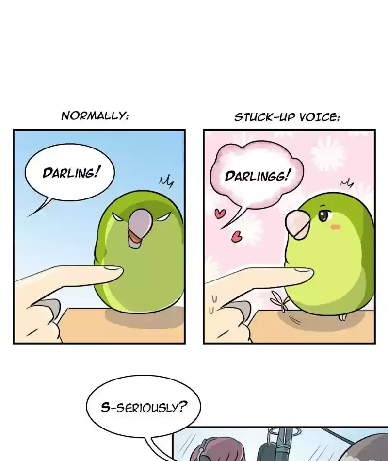 A Budgie's Life Chapter 260: Ep.259: