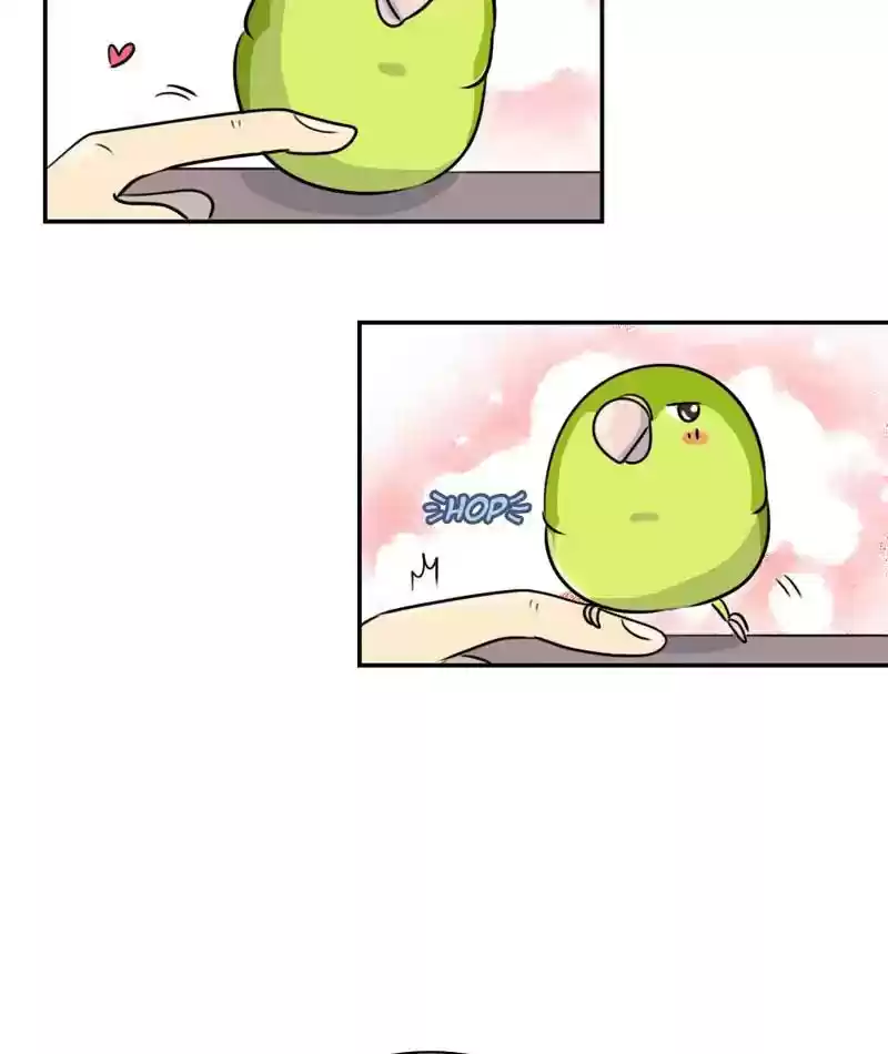 A Budgie's Life Chapter 260: Ep.259: