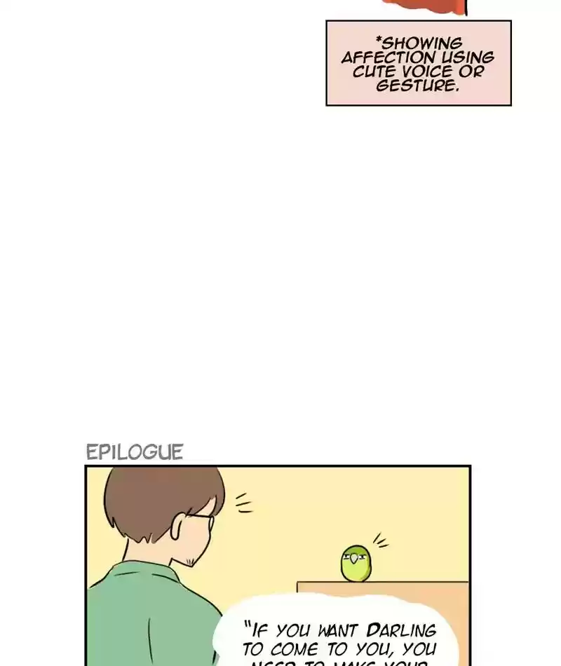 A Budgie's Life Chapter 260: Ep.259: