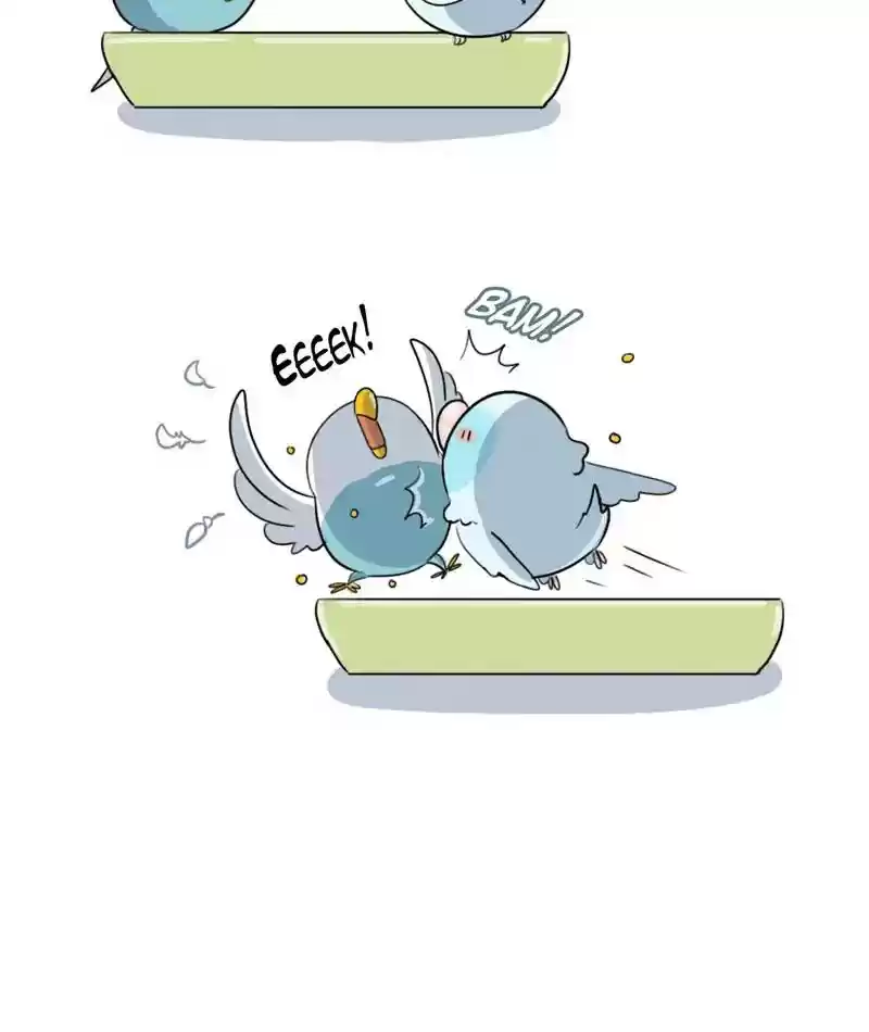 A Budgie's Life Chapter 261: Ep.260: