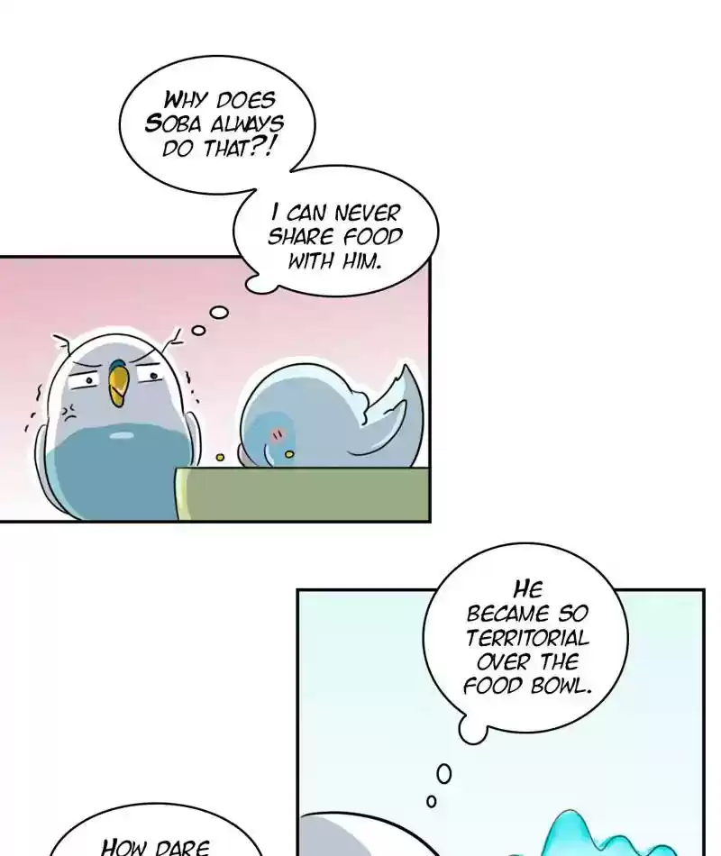 A Budgie's Life Chapter 261: Ep.260: