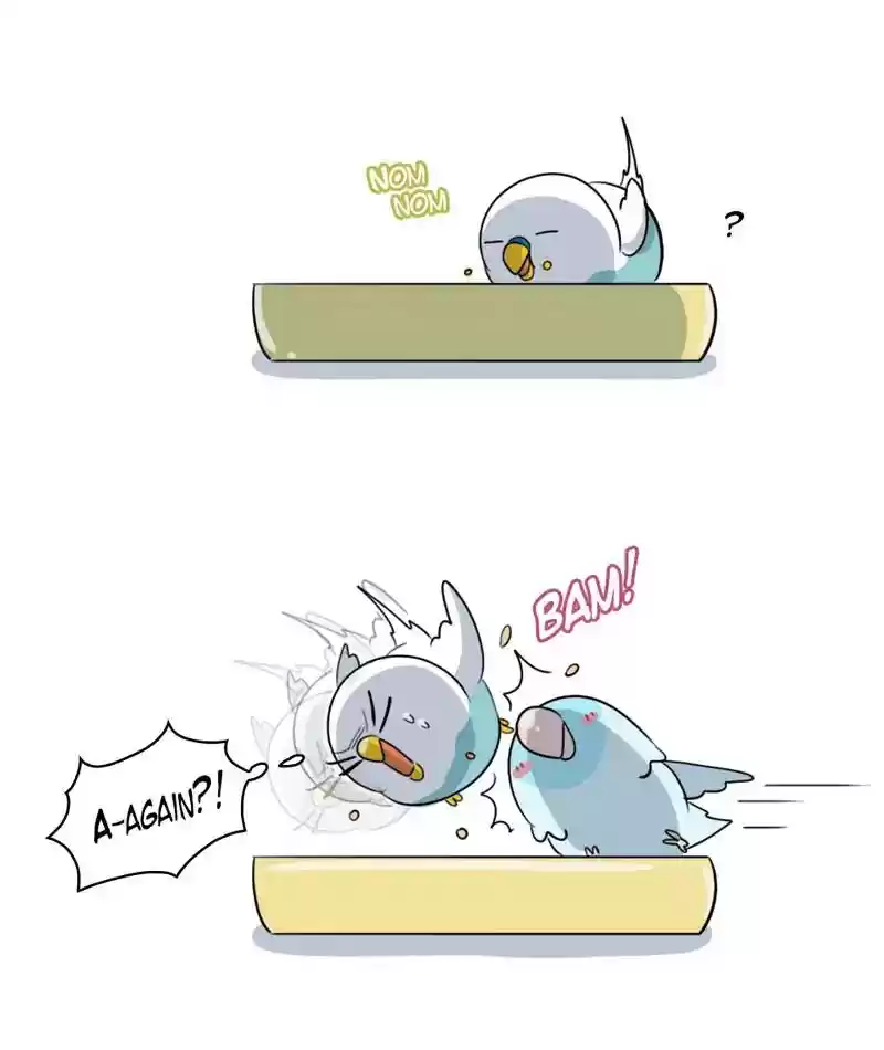 A Budgie's Life Chapter 261: Ep.260: