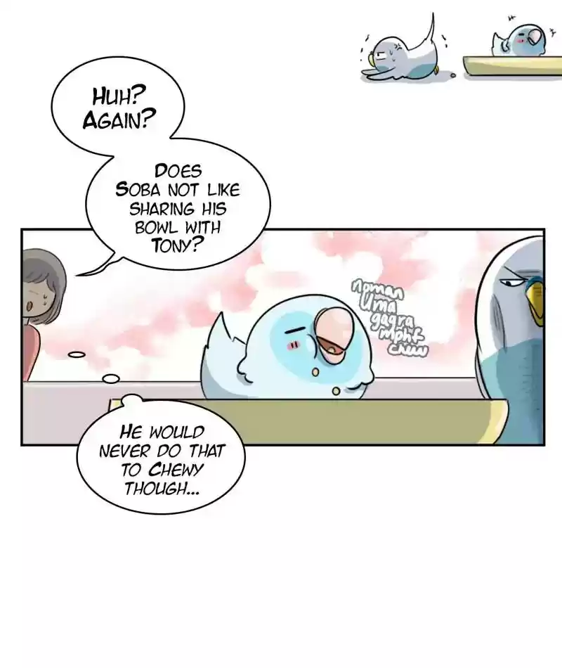 A Budgie's Life Chapter 261: Ep.260: