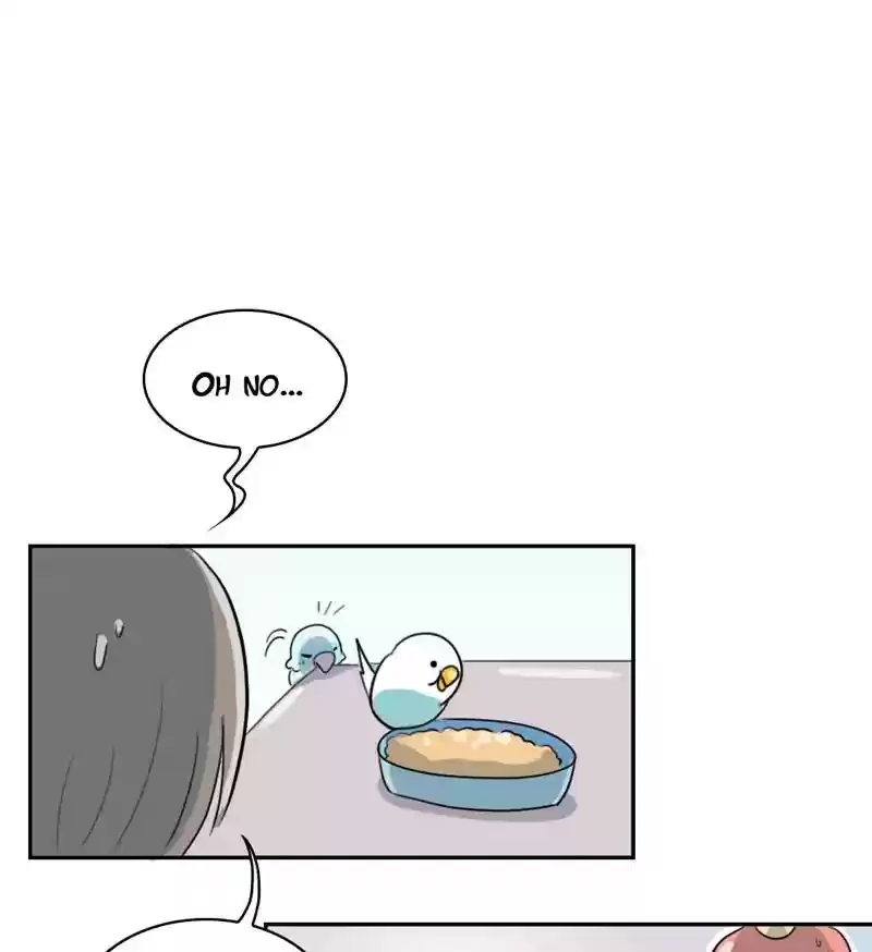 A Budgie's Life Chapter 261: Ep.260: