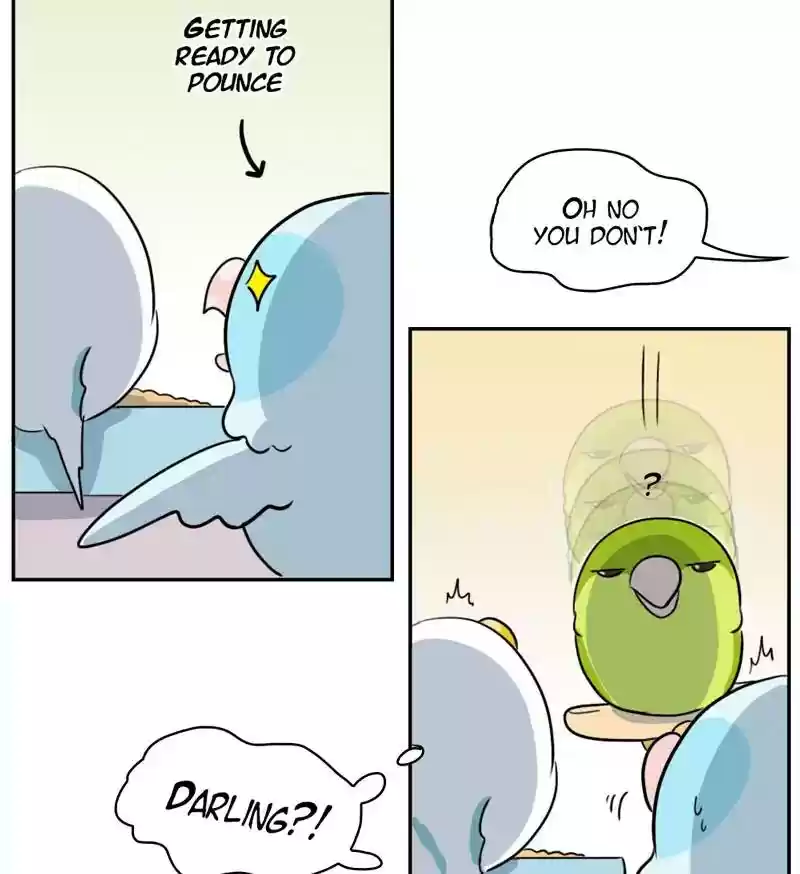 A Budgie's Life Chapter 261: Ep.260: